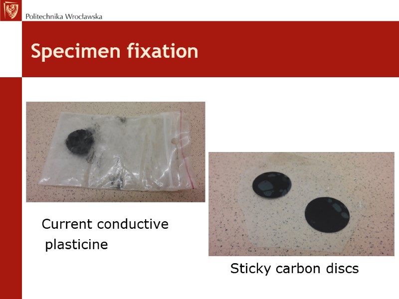 Specimen fixation          Current conductive 